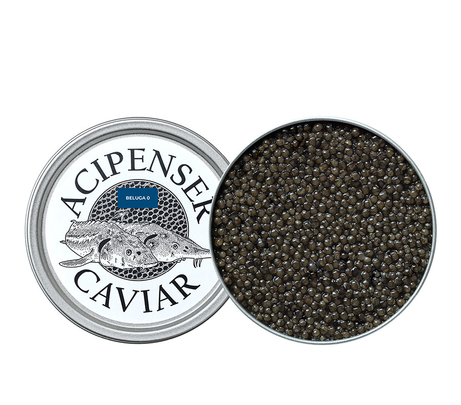 Beluga 0 - Acipenser Caviar